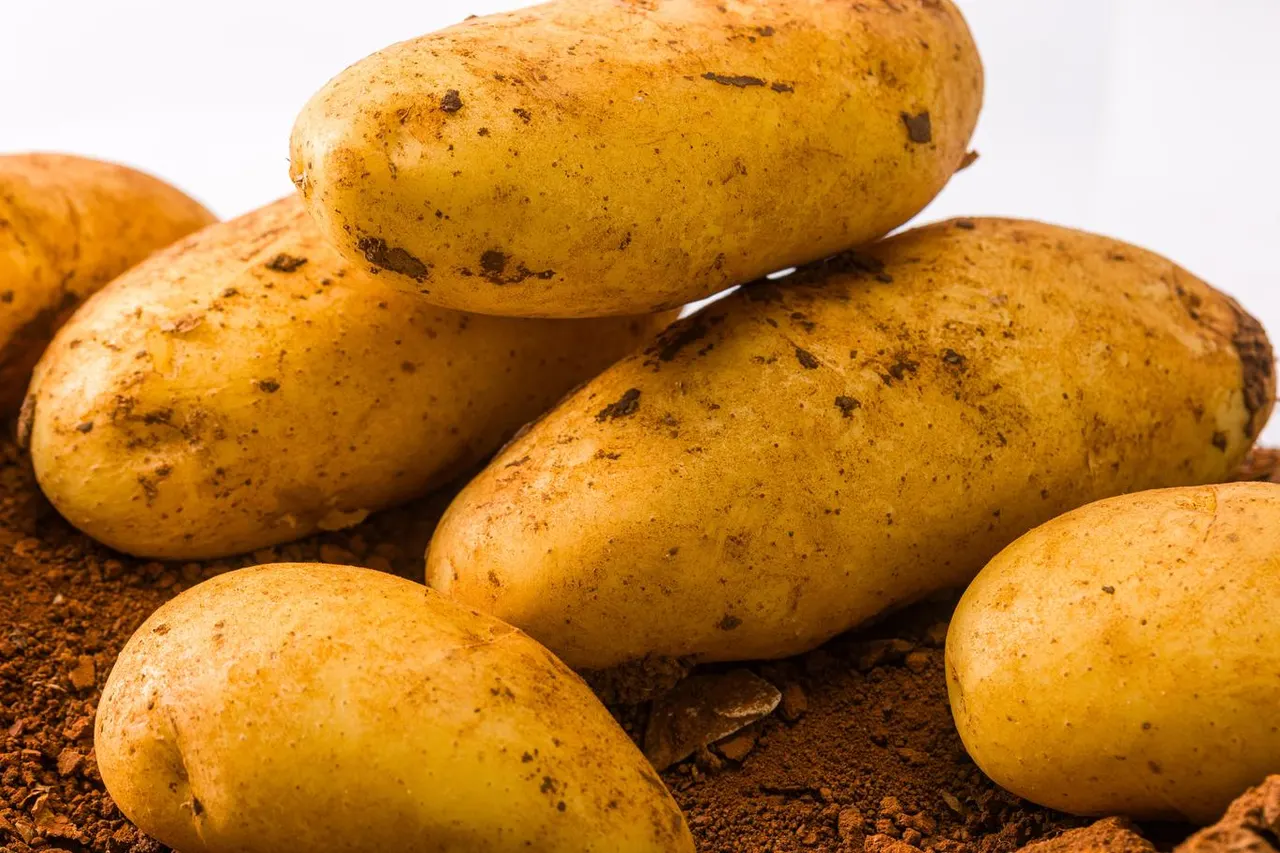 Patata Noha