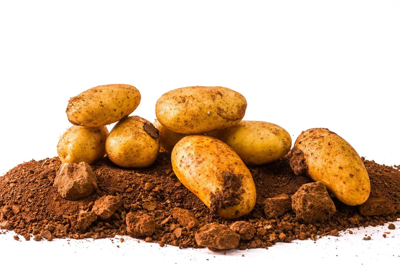 Patata Paradiso