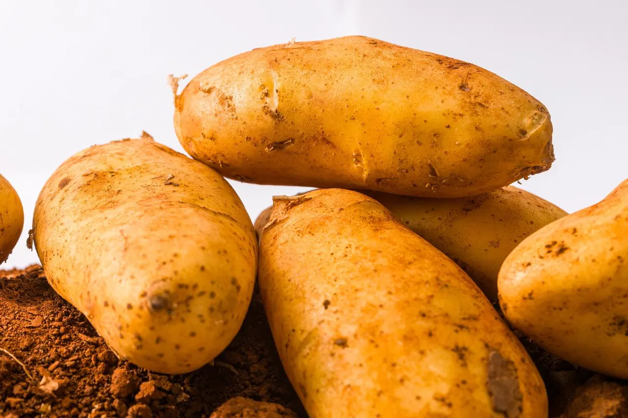Patata Spunta